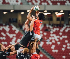 关于米兰官网的平台使用建议使用指南