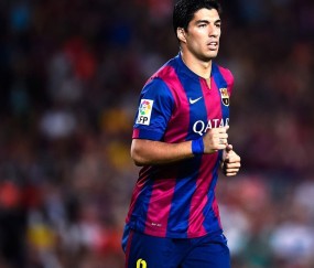 关于milan米兰的平台使用技巧操作教程